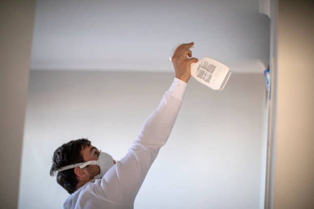 Best Crawl Space Mold Removal  in Valinda, CA