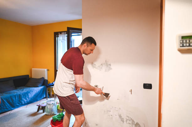Best Mold Removal Company Near Me  in Valinda, CA