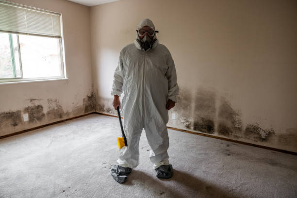 Best Same-Day Mold Removal  in Valinda, CA